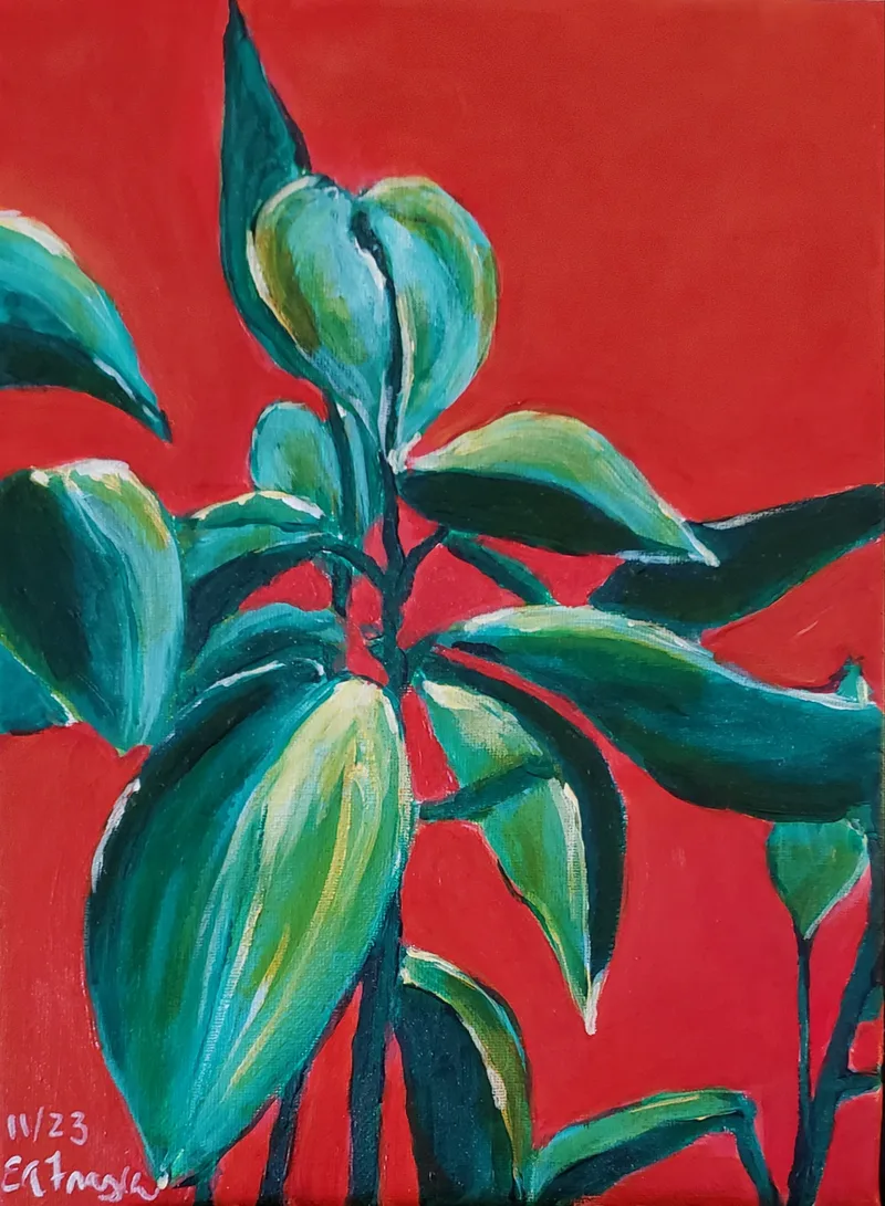 Ivy Plant